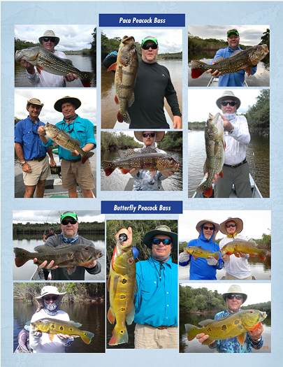 Collage of fishing in Brazil